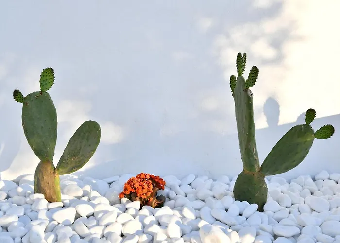 21 Luxury Zambujeira do Mar